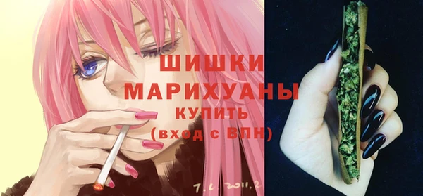 прущие крисы Каменногорск