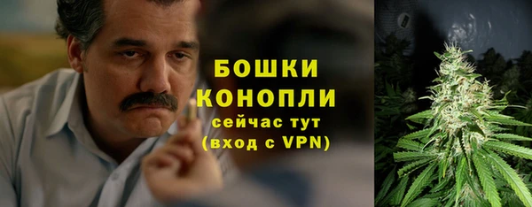 прущие крисы Каменногорск