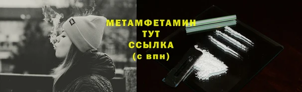 прущие крисы Каменногорск