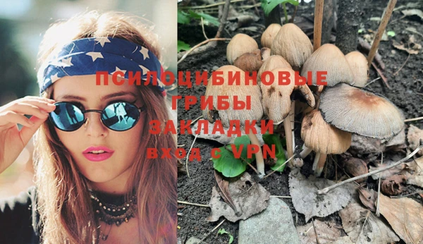 Альфа ПВП Каменка