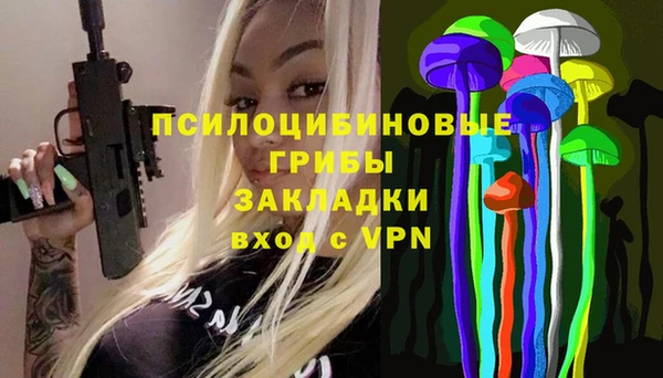 прущие крисы Каменногорск