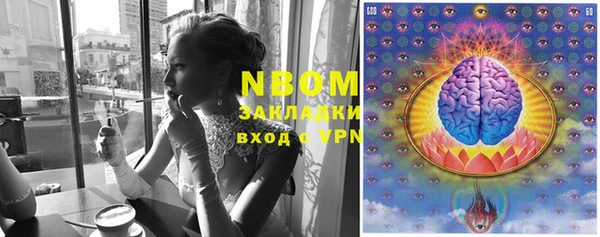 прущие крисы Каменногорск