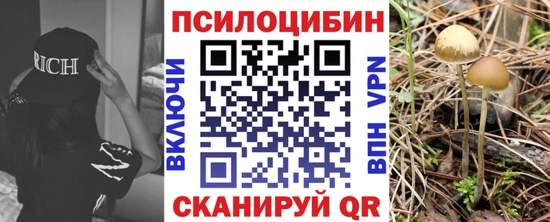 Псилоцибиновые грибы Magic Shrooms  Купить закладки  Эртиль 
